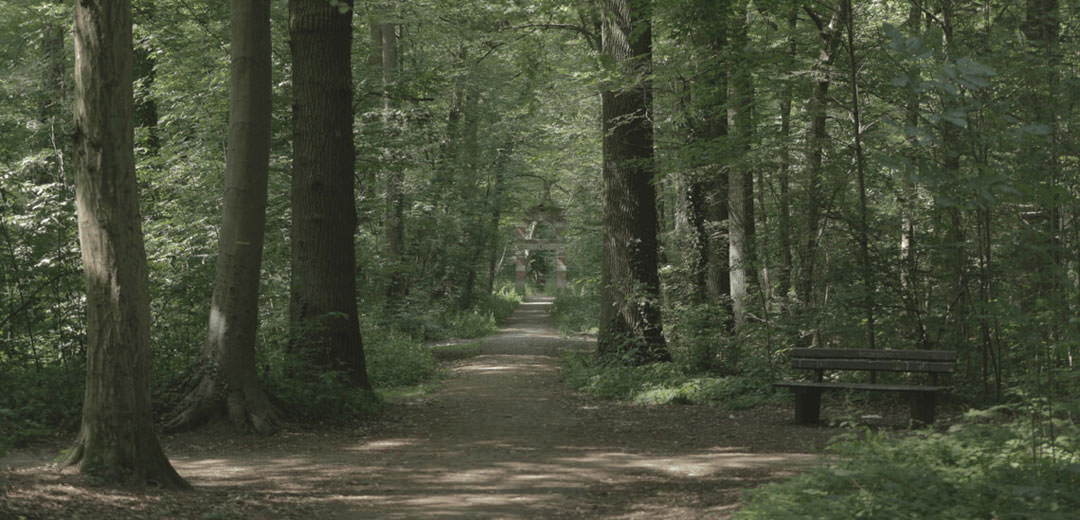 Canon EOS 7D + Technicolor CineStyle