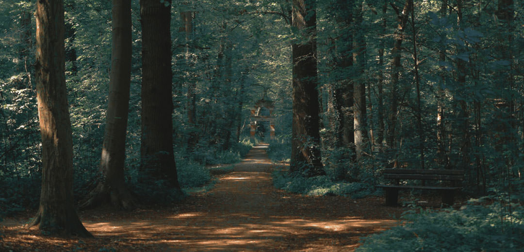 Graded with LUT W-8810