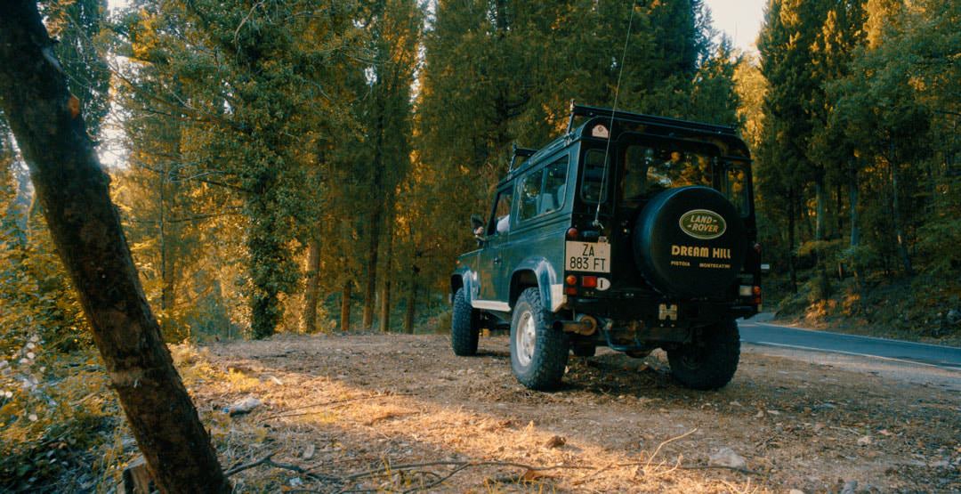 Graded with LUT W-8590